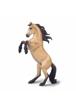 Klacz Warlander maści buckskin