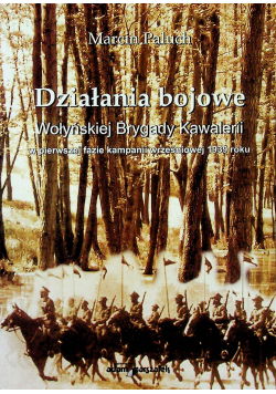 Działania bojowe Wołyńskiej Brygady Kawalerii