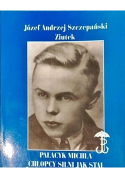Pałacyk Michla chłopcy silni jak stal