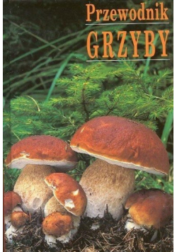Przewodnik Grzyby