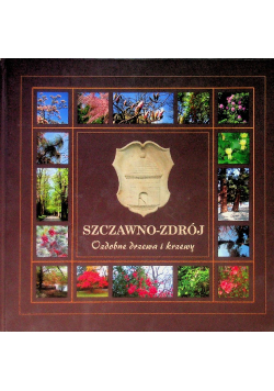 Szczawno-Zdrój Ozdobne drzewa i krzewy