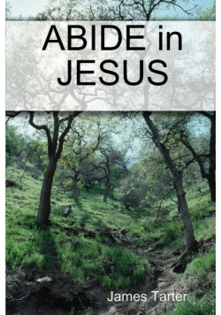 Abide In Jesus