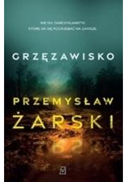 Grzęzawisko DL