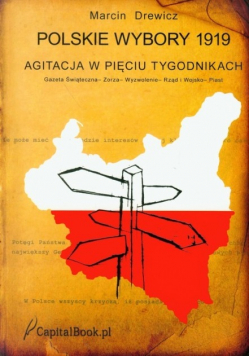 Polskie wybory 1919