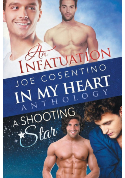 In My Heart - An Infatuation & A Shooting Star