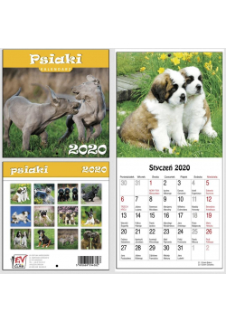 Kalendarz 2020 13 Plansz 16x16cm Psiaki EV-CORP