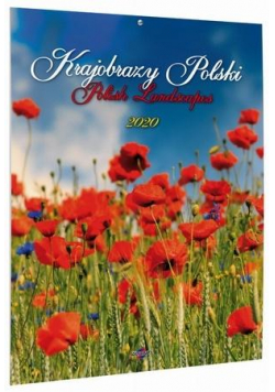 Kalendarz 2020 KSM-1 Krajobrazy Polski AVANTI