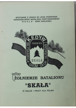 Żołnierze batalionu SKAŁA