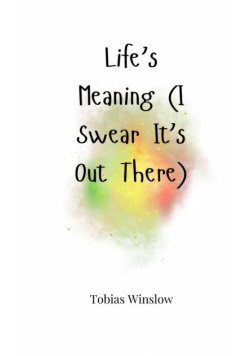 Life's Meaning (I Swear It's Out There)
