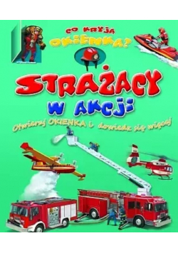 Strażacy w akcji Co kryją okienka