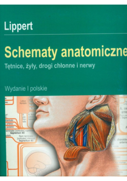 Schematy anatomiczne