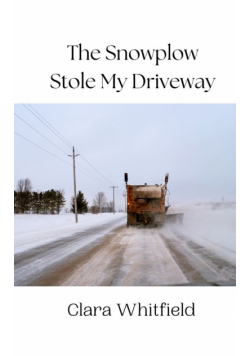 The Snowplow Stole My Driveway