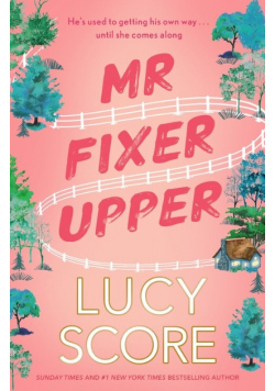 Mr Fixer Upper