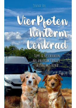Vier Pfoten hinterm Lenkrad