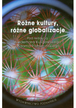 Różne kultury różne globalizacje