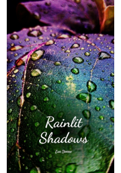 Rainlit Shadows