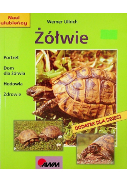 Żółwie