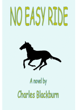 No Easy Ride