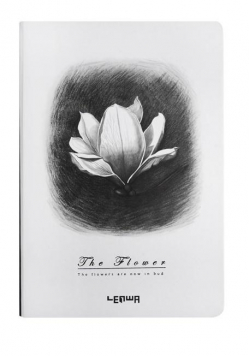 Notes B6/96K Magnolia