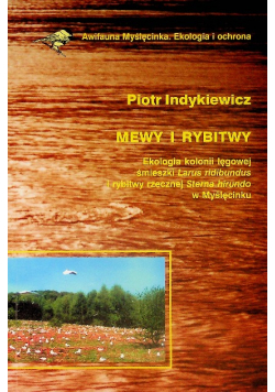 Mewy i rybitwy