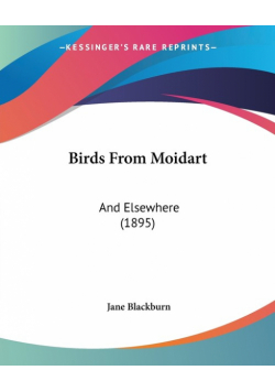 Birds From Moidart