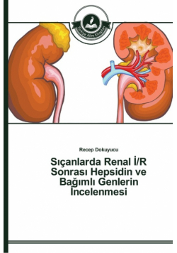Sıçanlarda Renal İ/R Sonrası Hepsidin ve Bağımlı Genlerin İncelenmesi