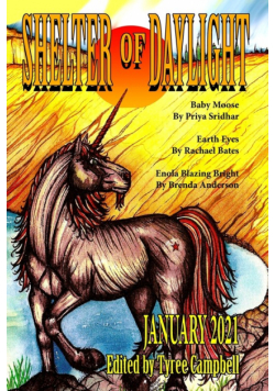 Shelter of Daylight January 2021