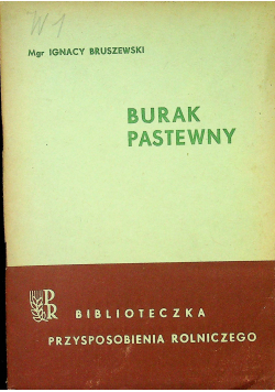 Burak pastewny