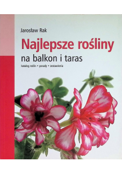 Najlepsze rośliny na balkon i taras