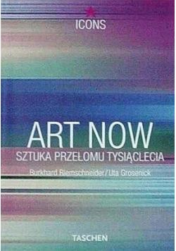 Art Now  Sztuka przełomu tysiąclecia