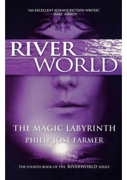 The Magic Labyrinth