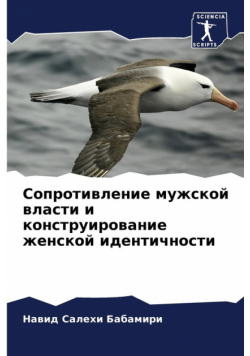 Сопротивление мужской власти и конструирование женской идентичности