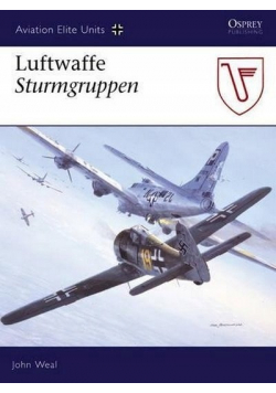 Luftwaffe Sturmgruppen