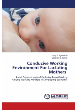 Conducive Working Environment For Lactating Mothers