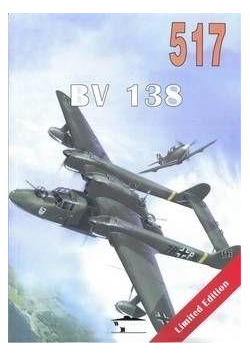 BV 138 nr 517