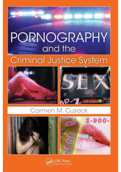 Pornography and The Criminal Justice System