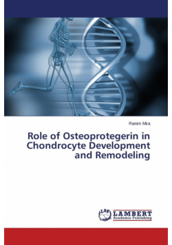 Role of Osteoprotegerin in Chondrocyte Development and Remodeling