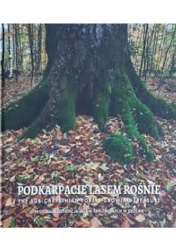 Podkarpacie lasem rośnie