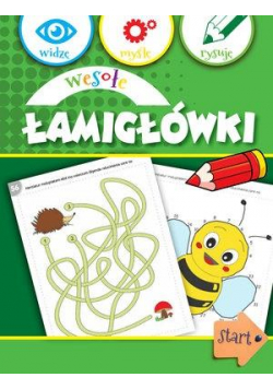 Widzę, myślę, rysuję. Wesołe łamigłówki