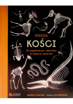 Księga kości