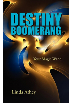 Destiny Boomerang