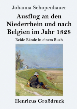 Ausflug an den Niederrhein und nach Belgien im Jahr 1828 (Großdruck)