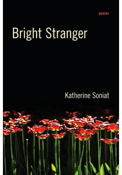 Bright Stranger