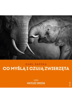 Co myślą i czują zwierzęta
