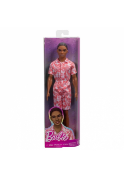 Barbie Fashionistas. Ken Stylowy HYT99