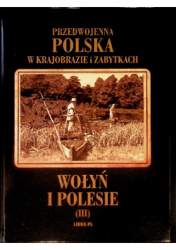 Przedwojenna Polska w krajobrazie i zabytkach Wołyń i Polesie Tom III