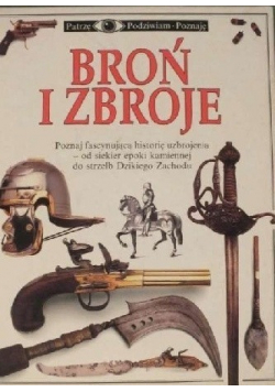 Broń i zbroje