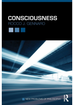 Consciousness