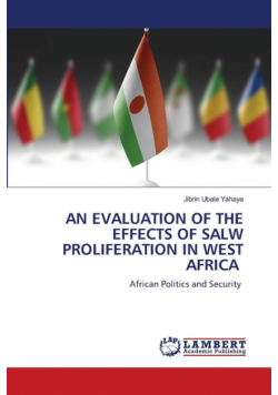 An Evaluation Of The Effects Of Salw Proliferation In West Africa