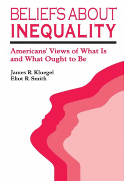 Beliefs about Inequality